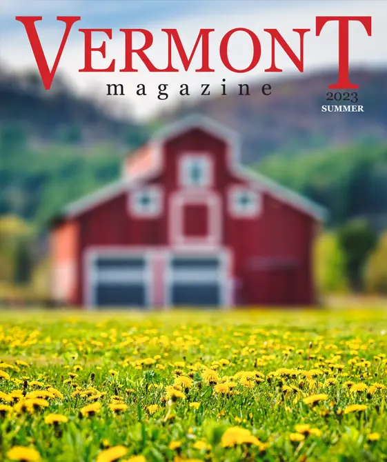 Vermont Magazine features Volansky Studio